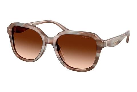 Sonnenbrille Coach CBY87 (HC8437U 590174)