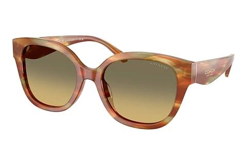 Sonnenbrille Coach CBY94 (HC8438U 5898L0)
