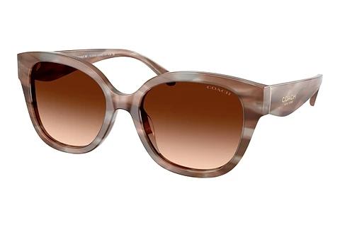 Sonnenbrille Coach CBY94 (HC8438U 590174)