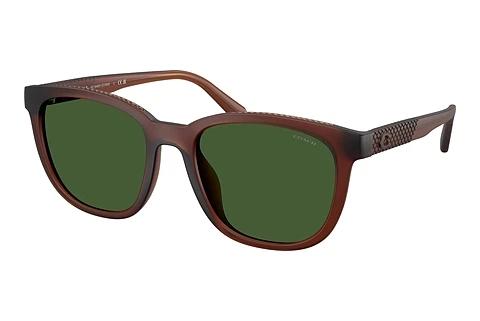 Sonnenbrille Coach CCA00 (HC8442U 591171)