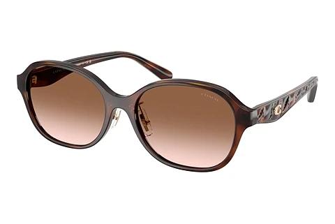 Sonnenbrille Coach CBY85 (HC8445D 512013)