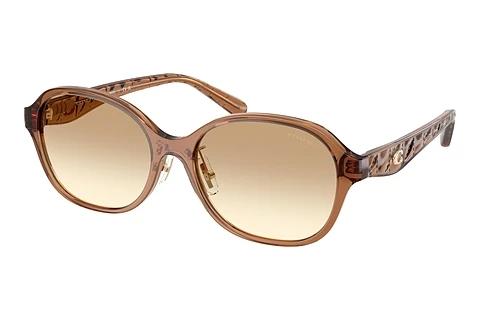 Sonnenbrille Coach CBY85 (HC8445D 565413)