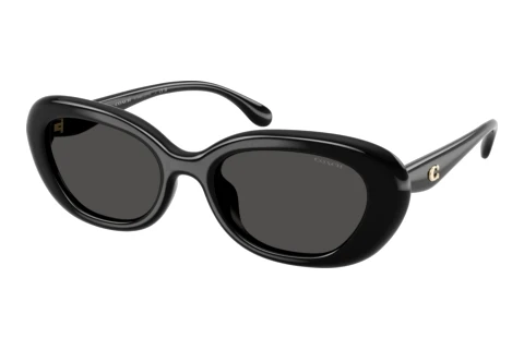 Sonnenbrille Coach CDP35 (HC8448U 500287)