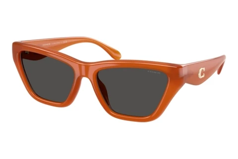 Sonnenbrille Coach CDP33 (HC8449U 593087)
