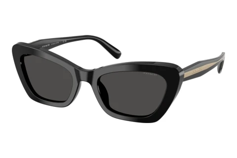 Sonnenbrille Coach CDP52 (HC8452U 500287)