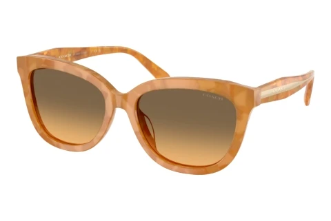 Sonnenbrille Coach CDP53 (HC8453U 593911)