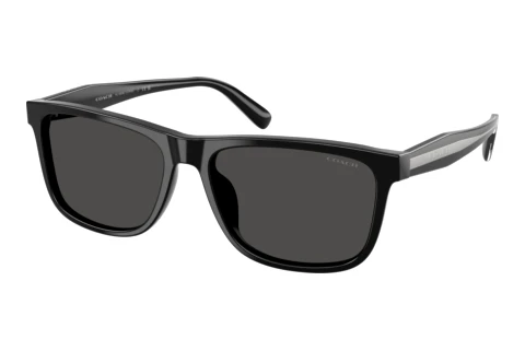 Sonnenbrille Coach CDP55 (HC8454U 500287)