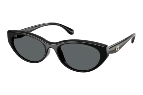 Sonnenbrille Coach CDP42 (HC8456D 500281)