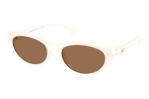 Sonnenbrille Coach CDP42 (HC8456D 579073)