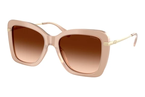 Sonnenbrille Coach CFU03 (HC8461U 598074)