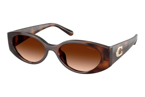Sonnenbrille Coach CFU06 (HC8462U 512074)