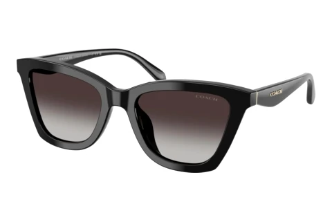 Sonnenbrille Coach CFU10 (HC8464U 50028G)
