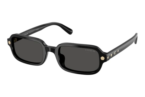 Sonnenbrille Coach CFU11 (HC8465U 500287)