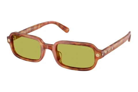Sonnenbrille Coach CFU11 (HC8465U 5774/2)