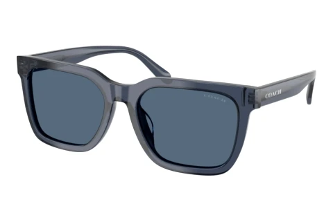 Sonnenbrille Coach CFU12 (HC8466U 597280)