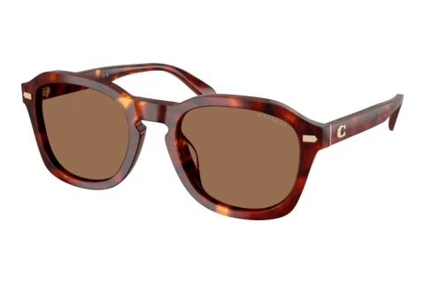 Sonnenbrille Coach CFU14 (HC8467U 593873)