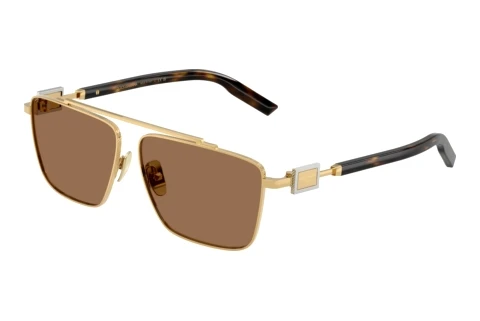Sonnenbrille Dolce & Gabbana DG2336 02/73