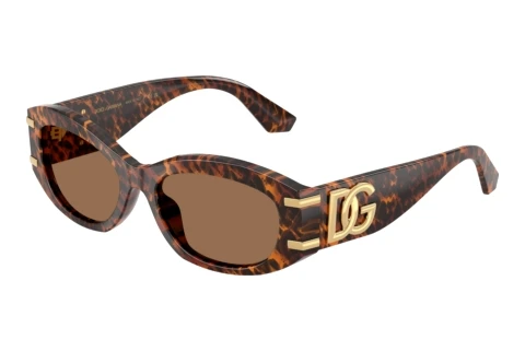 Sonnenbrille Dolce & Gabbana DG4502 347073