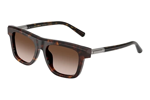 Sonnenbrille Dolce & Gabbana DG4521 502/13