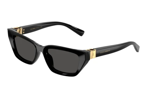 Sonnenbrille Dolce & Gabbana DG4532 501/87
