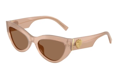 Sonnenbrille Dolce & Gabbana DG4536 304273