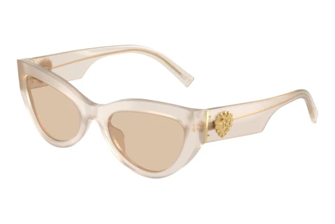 Sonnenbrille Dolce & Gabbana DG4536 342093