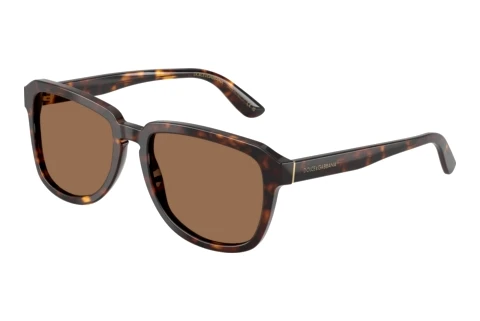 Sonnenbrille Dolce & Gabbana DG4566 502/73