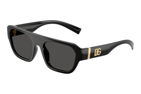Sonnenbrille Dolce & Gabbana DG6206 501/87