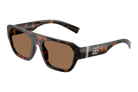 Sonnenbrille Dolce & Gabbana DG6206 502/73