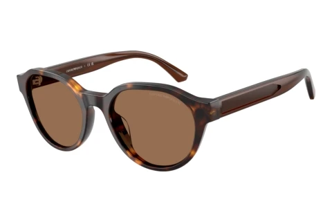 Sonnenbrille Emporio Armani EK4008U 502673