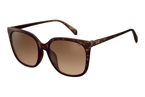 Sonnenbrille Esprit ET39302 545
