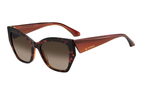 Sonnenbrille Etro ETRO 0143/S L9G/HA