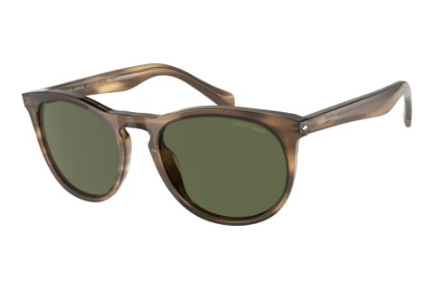 Sonnenbrille Giorgio Armani AR8149 590058