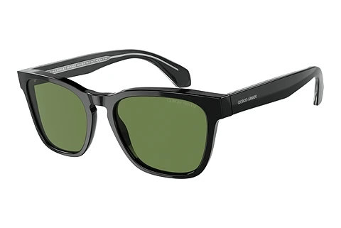 Sonnenbrille Giorgio Armani AR8155 58754E
