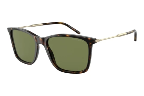 Sonnenbrille Giorgio Armani AR8176 50262A