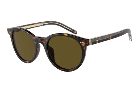 Sonnenbrille Giorgio Armani AR8199U 587973