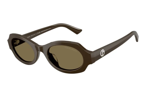Sonnenbrille Giorgio Armani AR8245HU 630773