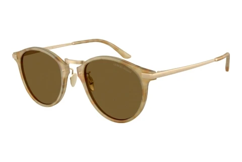 Sonnenbrille Giorgio Armani AR8250 630073