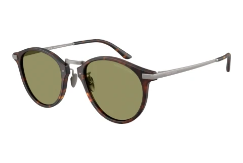 Sonnenbrille Giorgio Armani AR8250 640353