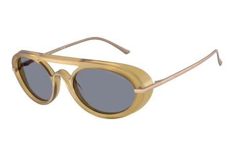 Sonnenbrille Giorgio Armani AR8256 641119