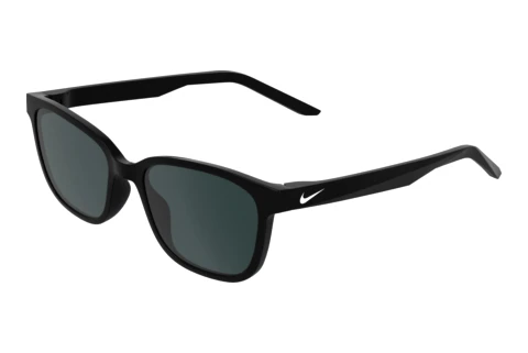 Sonnenbrille Nike NIKE FLASH P IQ7241X 010