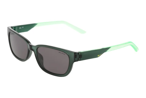 Sonnenbrille Nike NIKE TIDE CREST IZ5863X 314