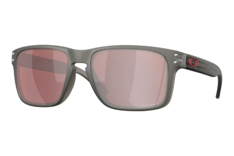 Sonnenbrille Oakley HOLBROOK (OO9102 9102AR)