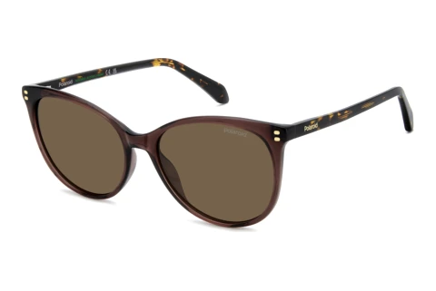 Sonnenbrille Polaroid PLD 4200/S/X 09Q/SP