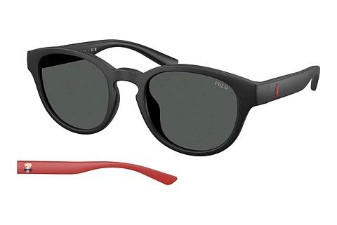 Sonnenbrille Polo PH4233U 550487