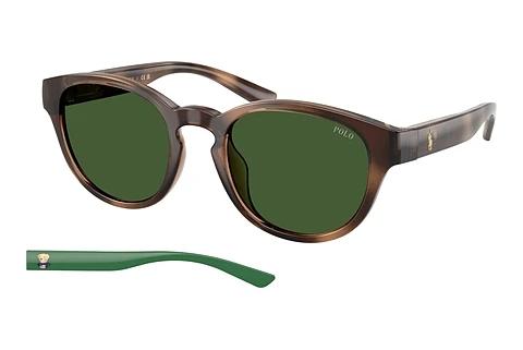 Sonnenbrille Polo PH4233U 607071