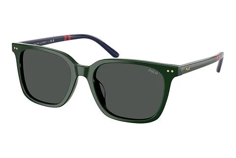 Sonnenbrille Polo PH4235U 614087