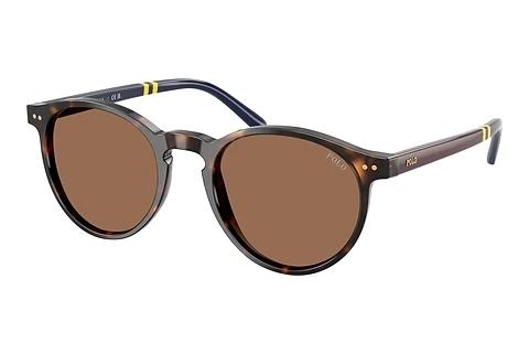 Sonnenbrille Polo PH4236 500373