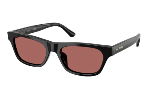 Sonnenbrille Polo PH4238U 500169