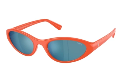 Sonnenbrille Polo PH4248U 587155